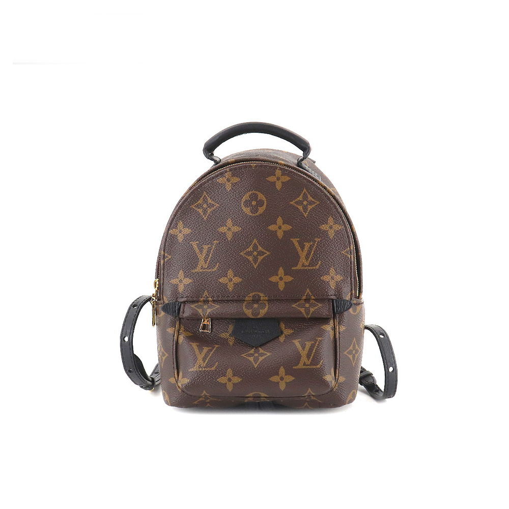 Louis Vuitton Monogram Palm Springs Backpack Mini Rucksack Brown